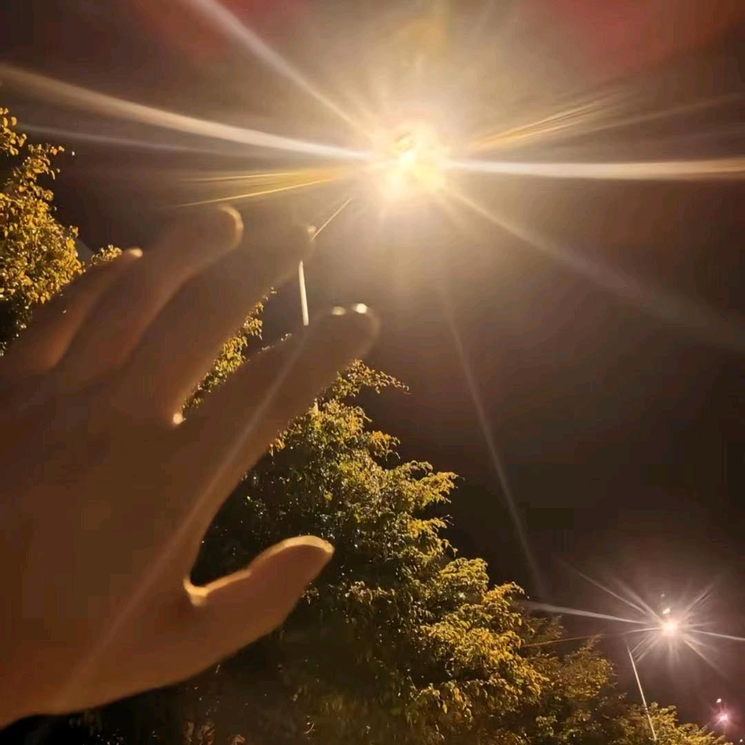 芳芳爱分享