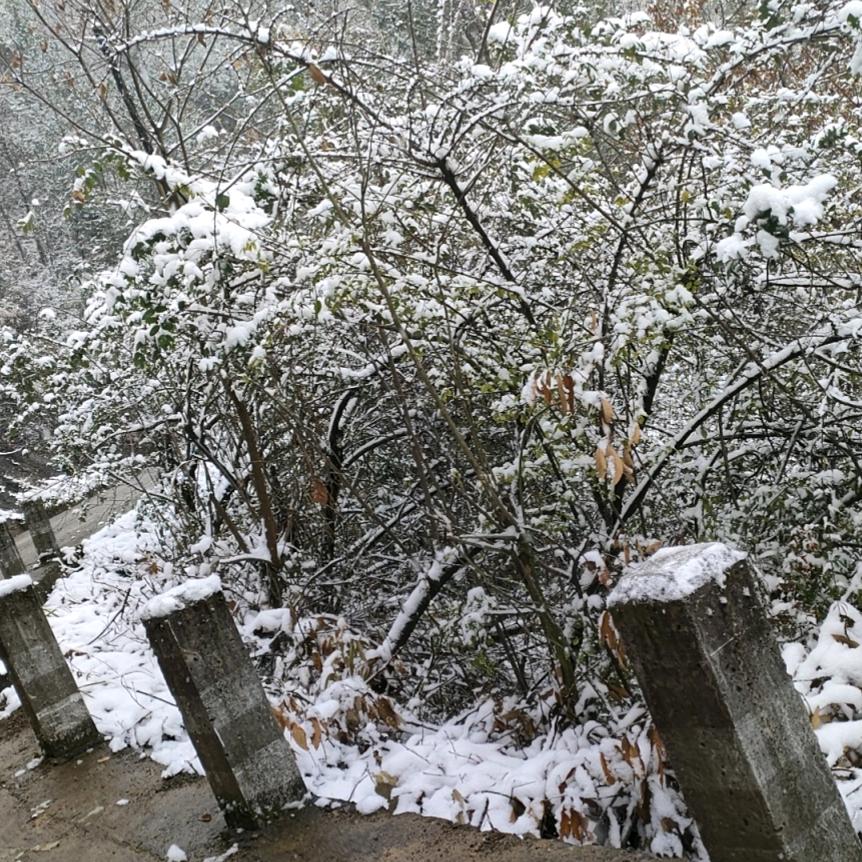 ꦿ陈心᭄໊꧔ꦿ如意᭄ꦿꪟ