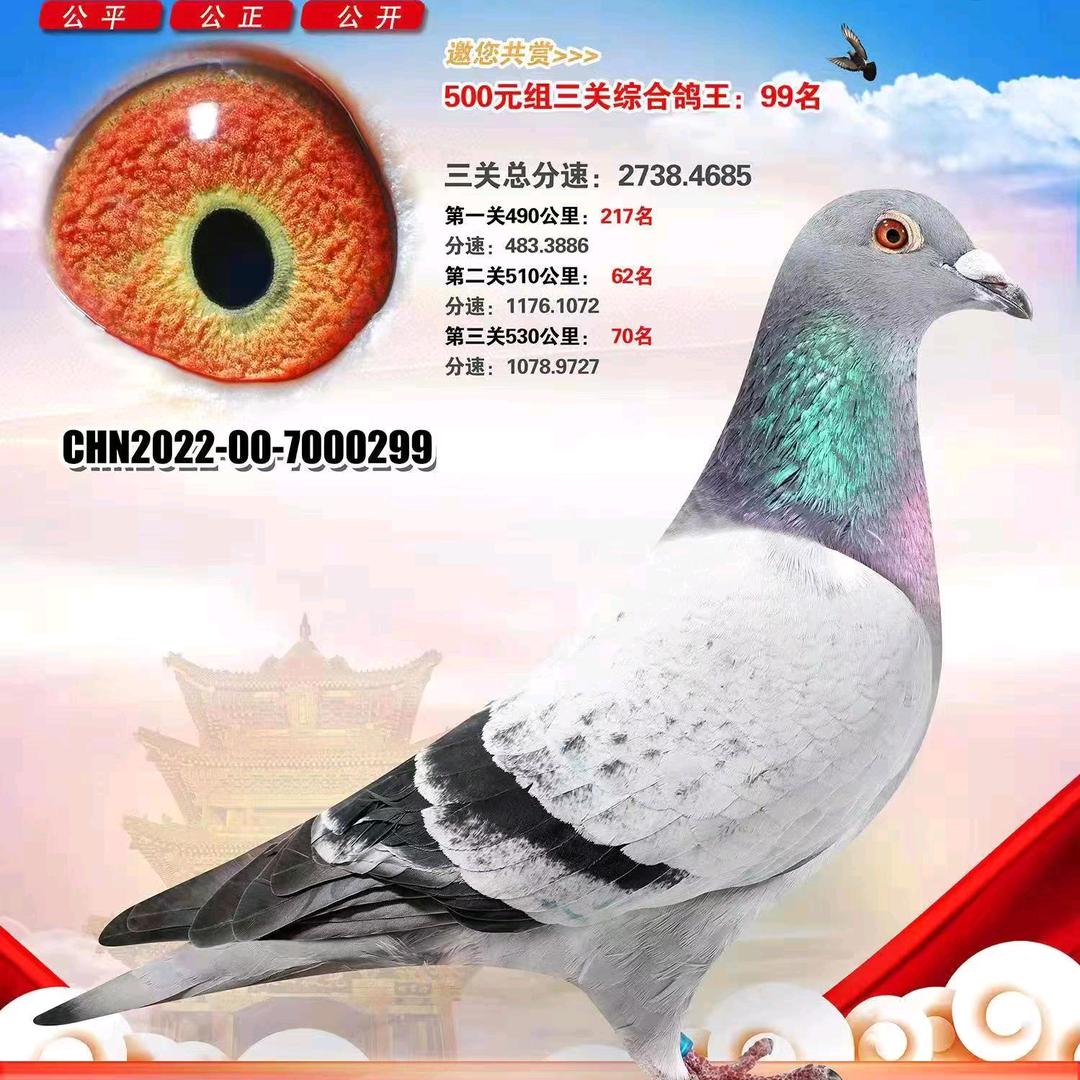 🌿恰好遇见🌿