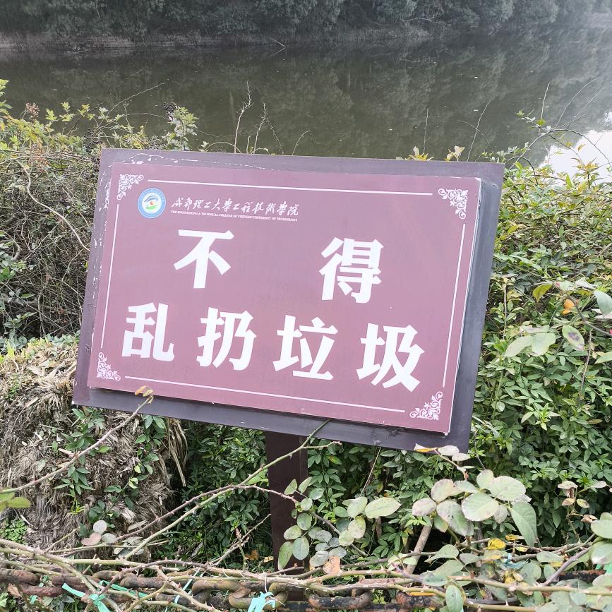 内向哥布林