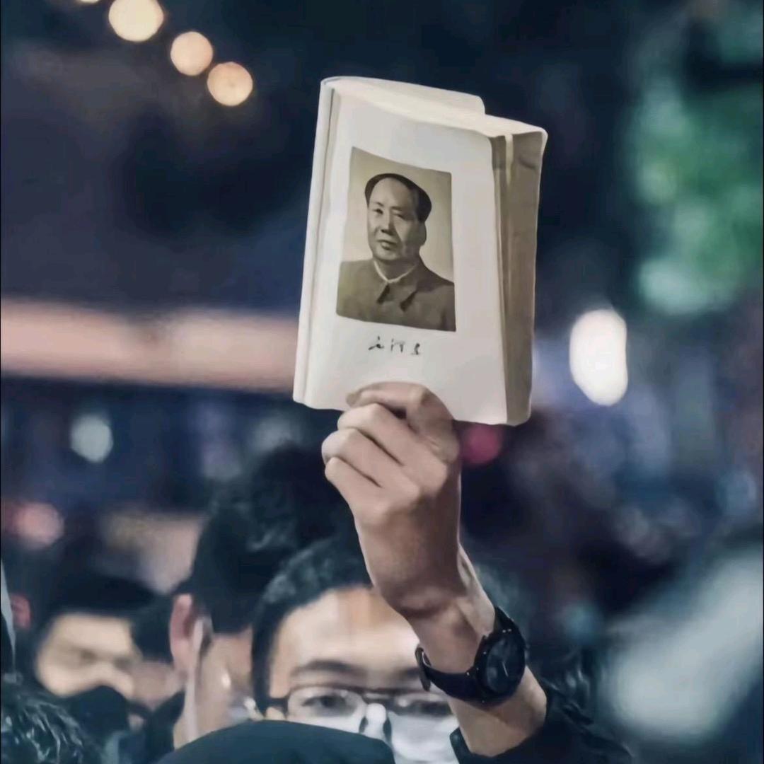 同志你好