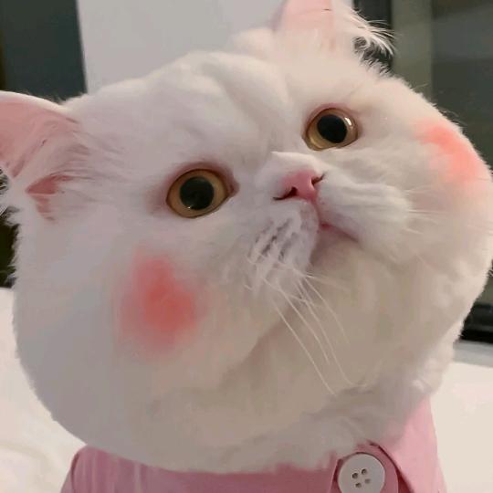 無銘的等候