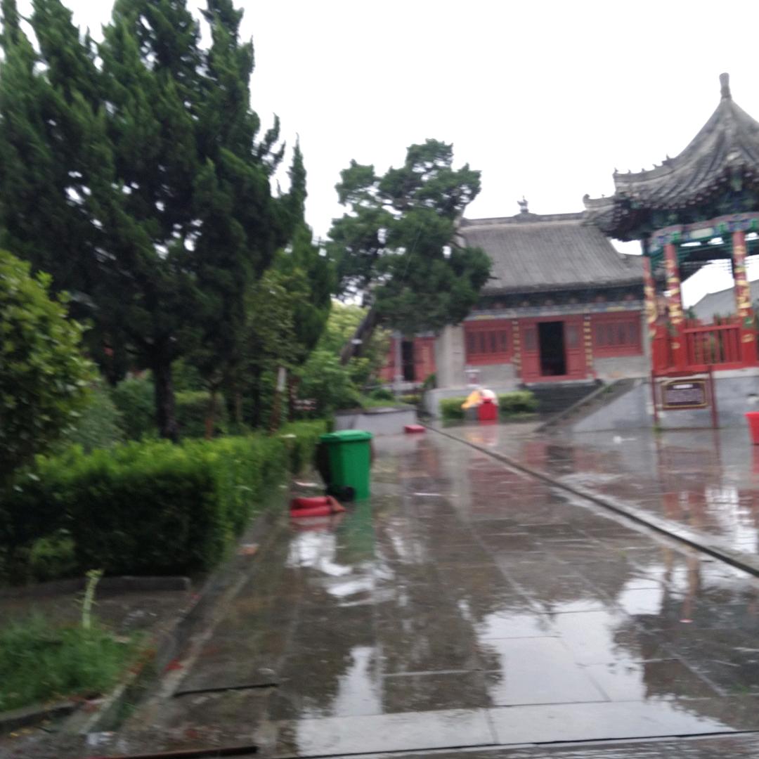 亲爱的