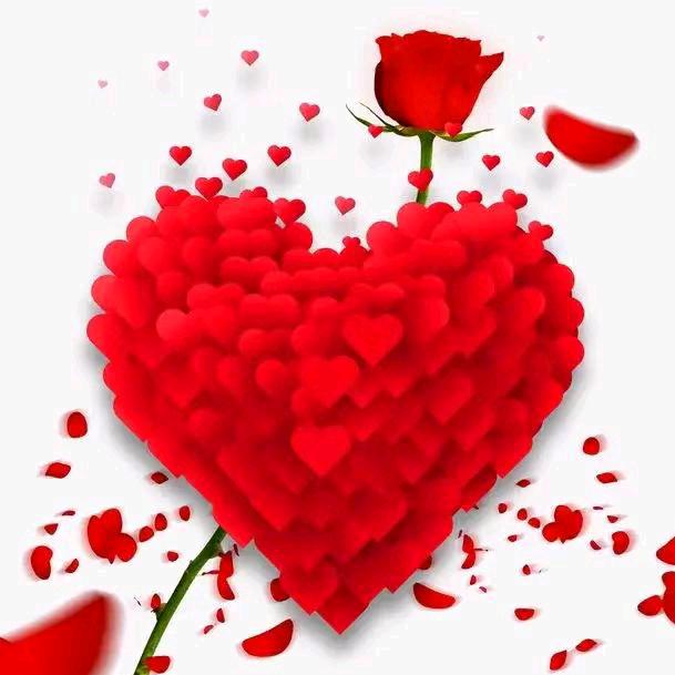 往事清零🌹🌹🌹