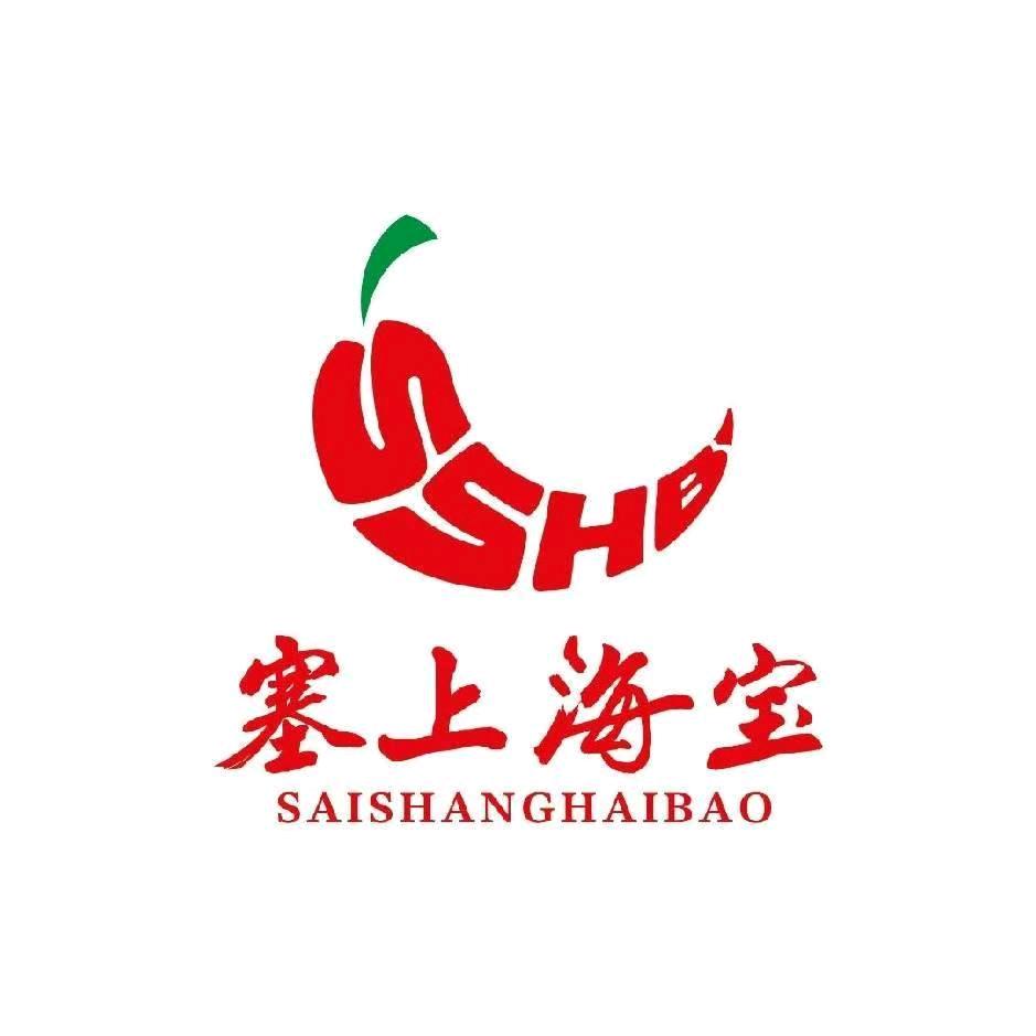 塞上海宝辣糊糊(白银店)官方号