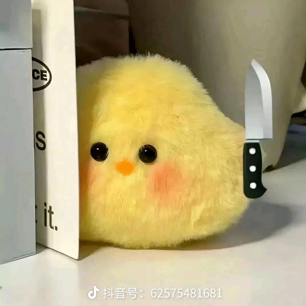 落叶