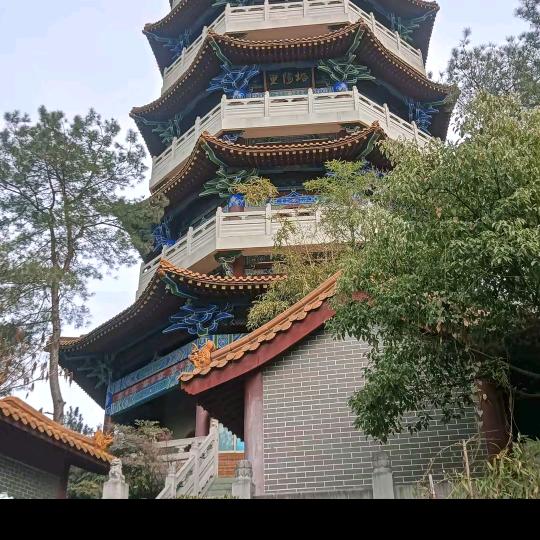 文峰哥