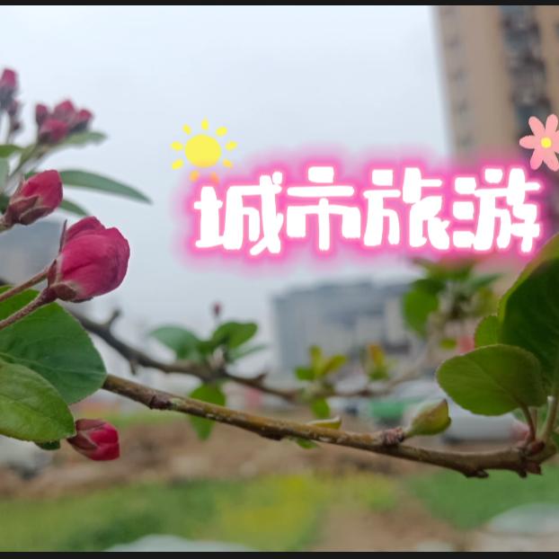 城市旅游攻略