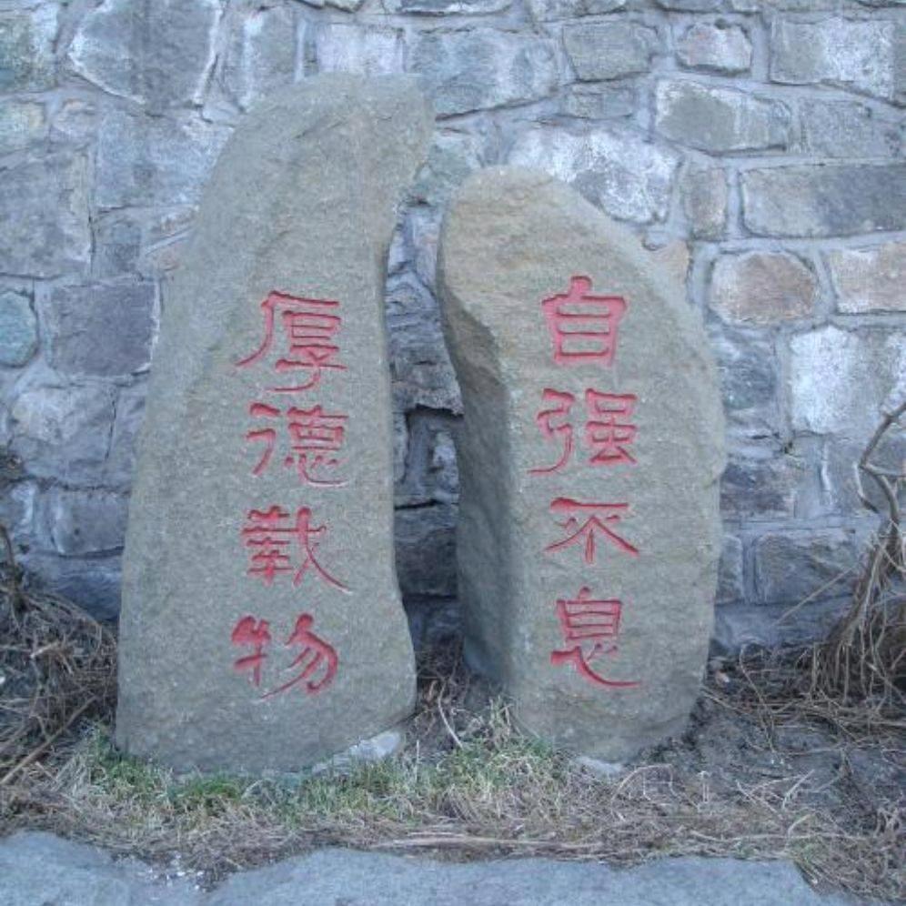 完美主义者