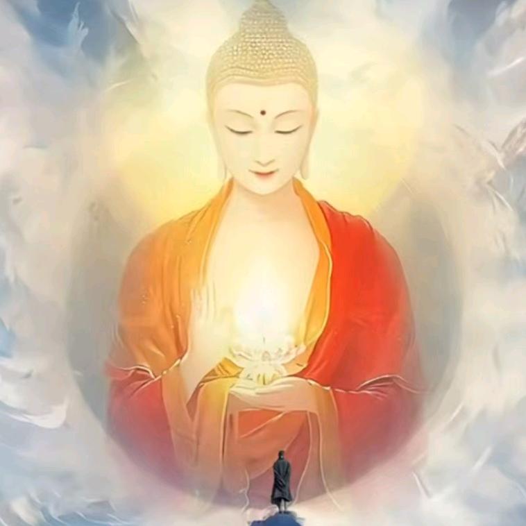 所愿皆所求