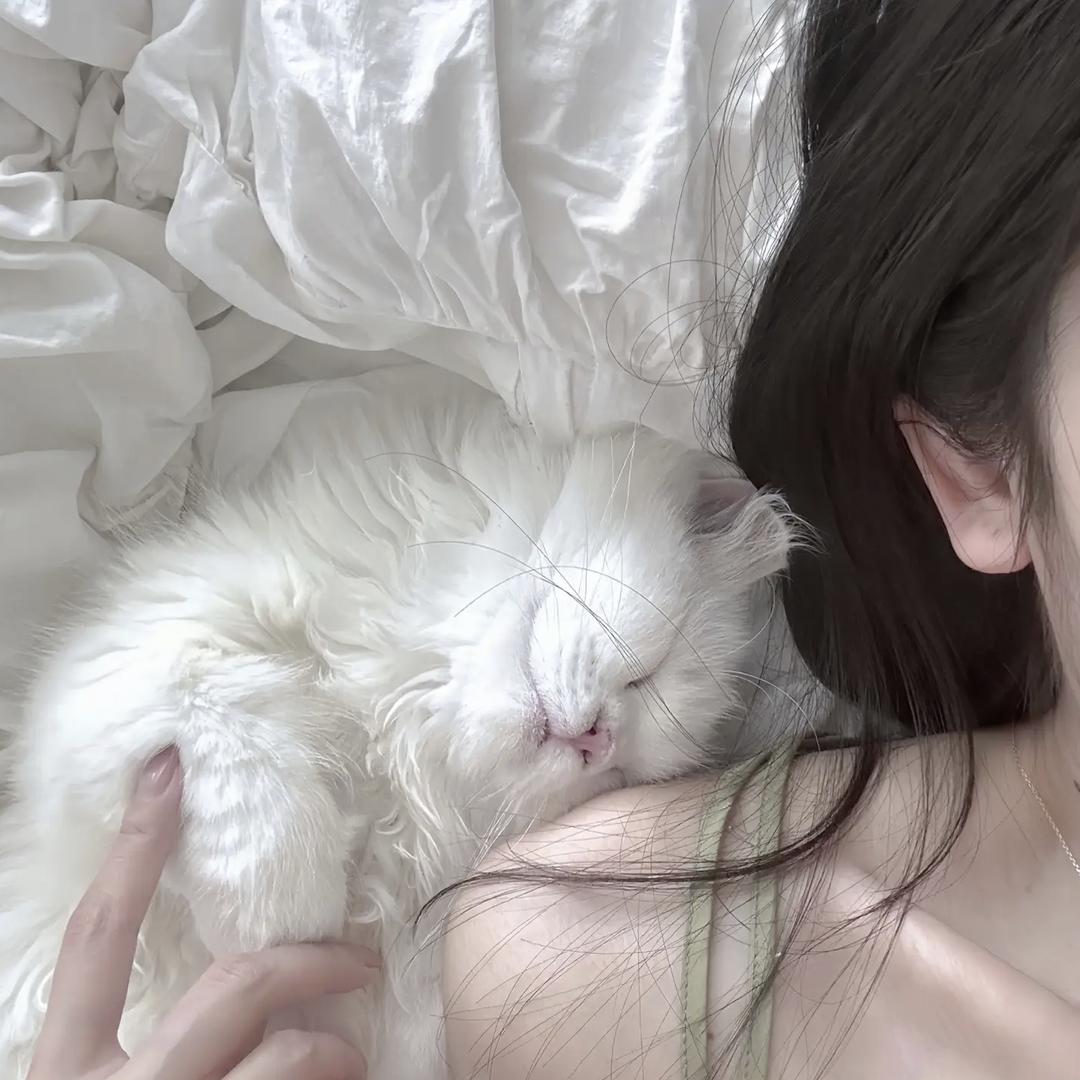 早早不熬夜