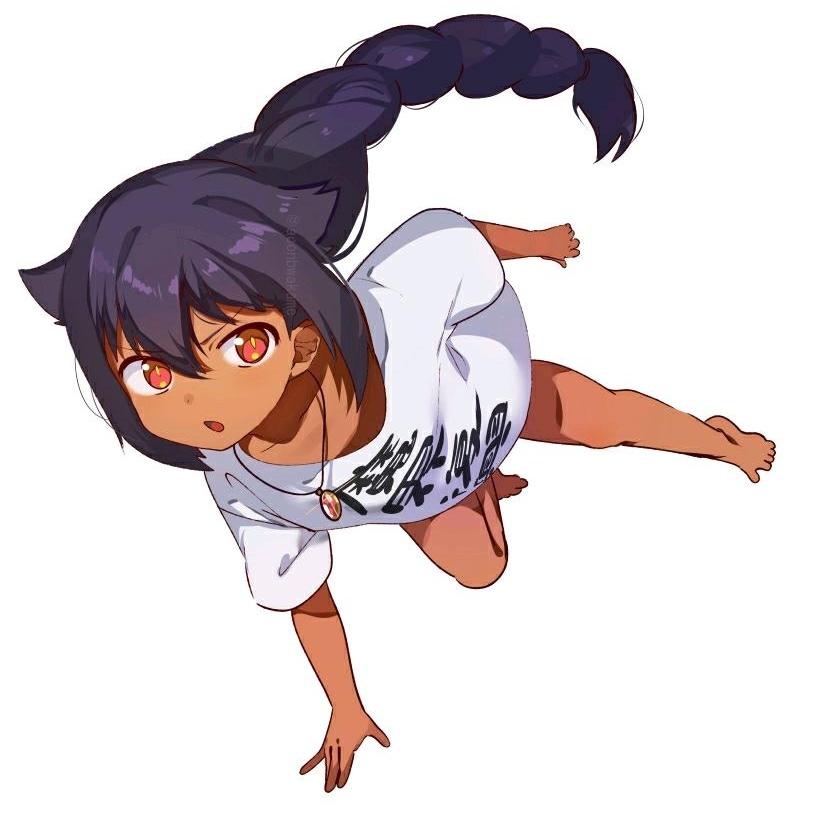 迦希猫猫