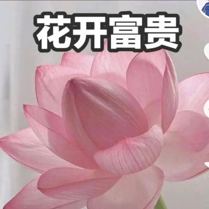 @星落成河