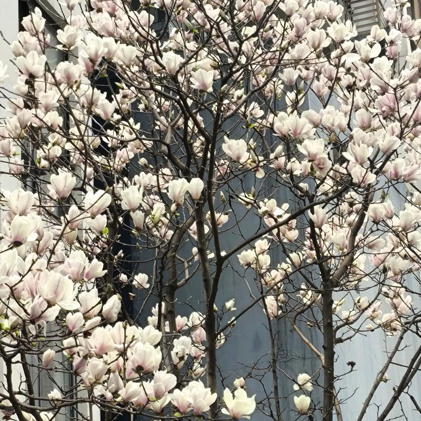 香水有毒