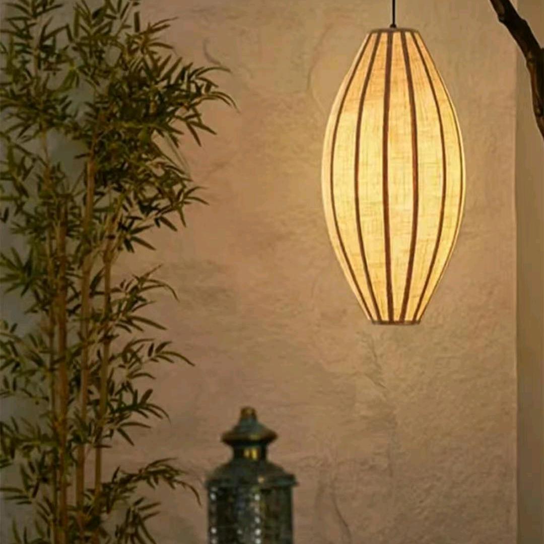 一个中医文化传承人