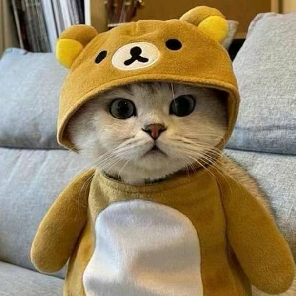 往后余生多多指教