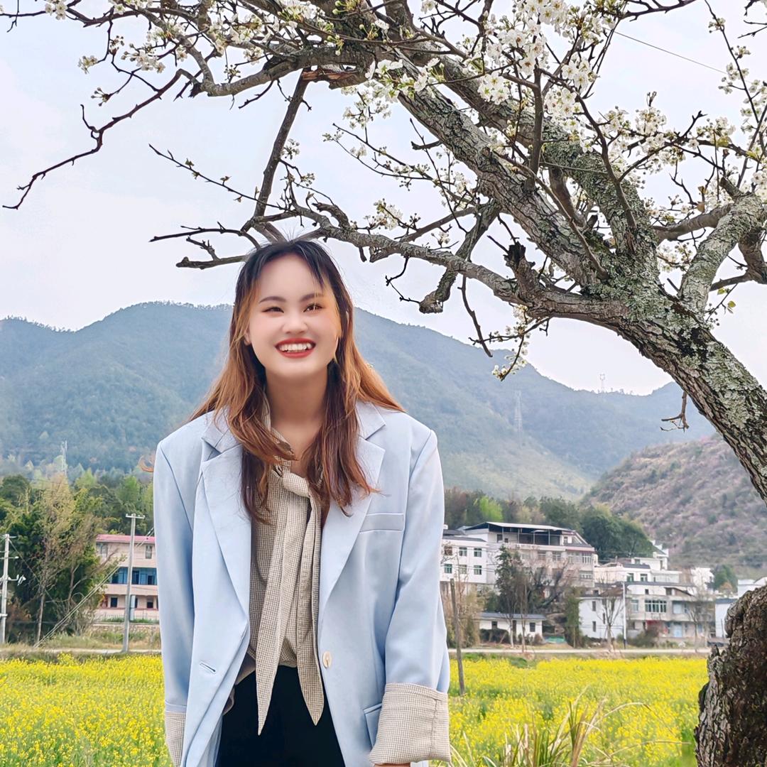 露 鹿（臭豆腐）