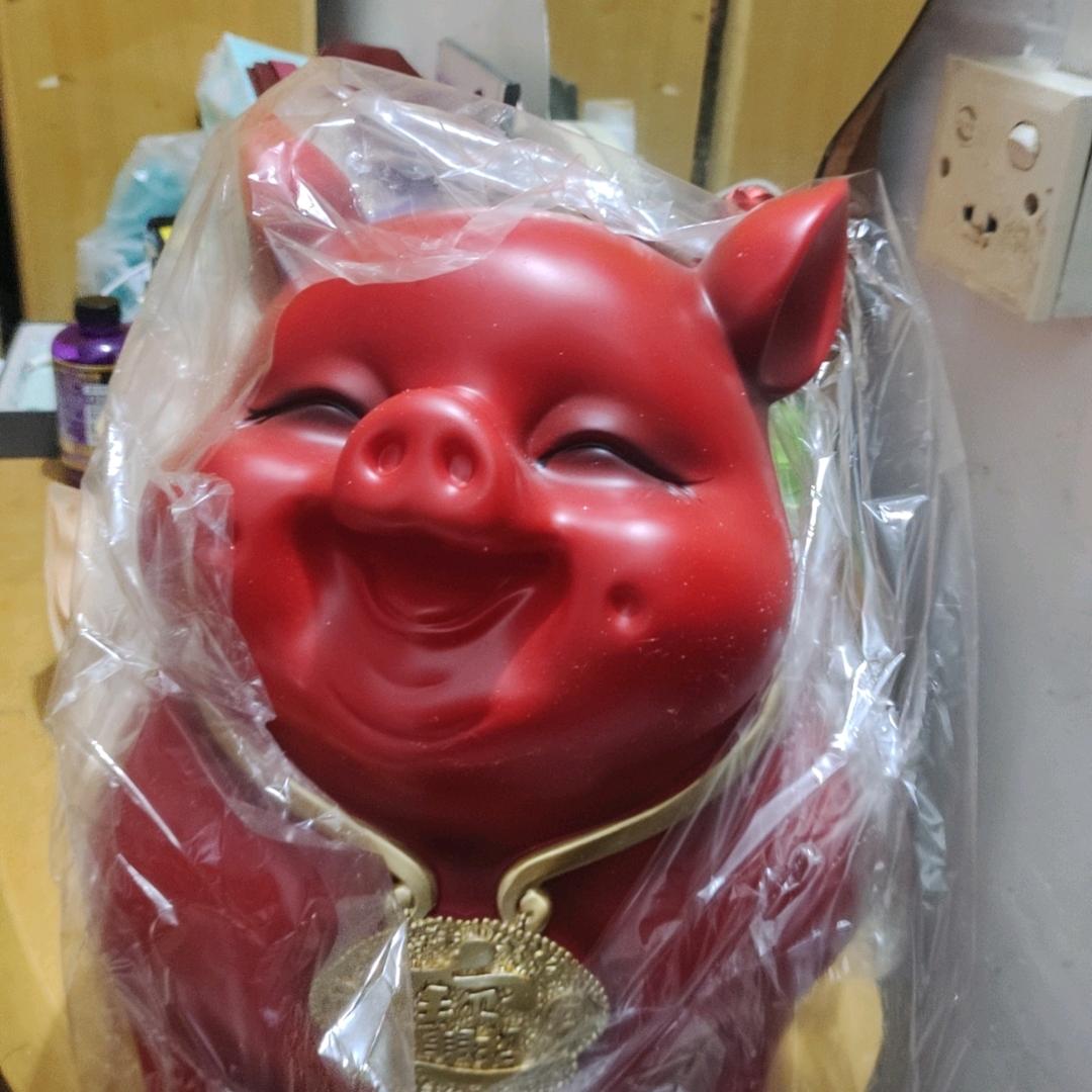 随心所欲