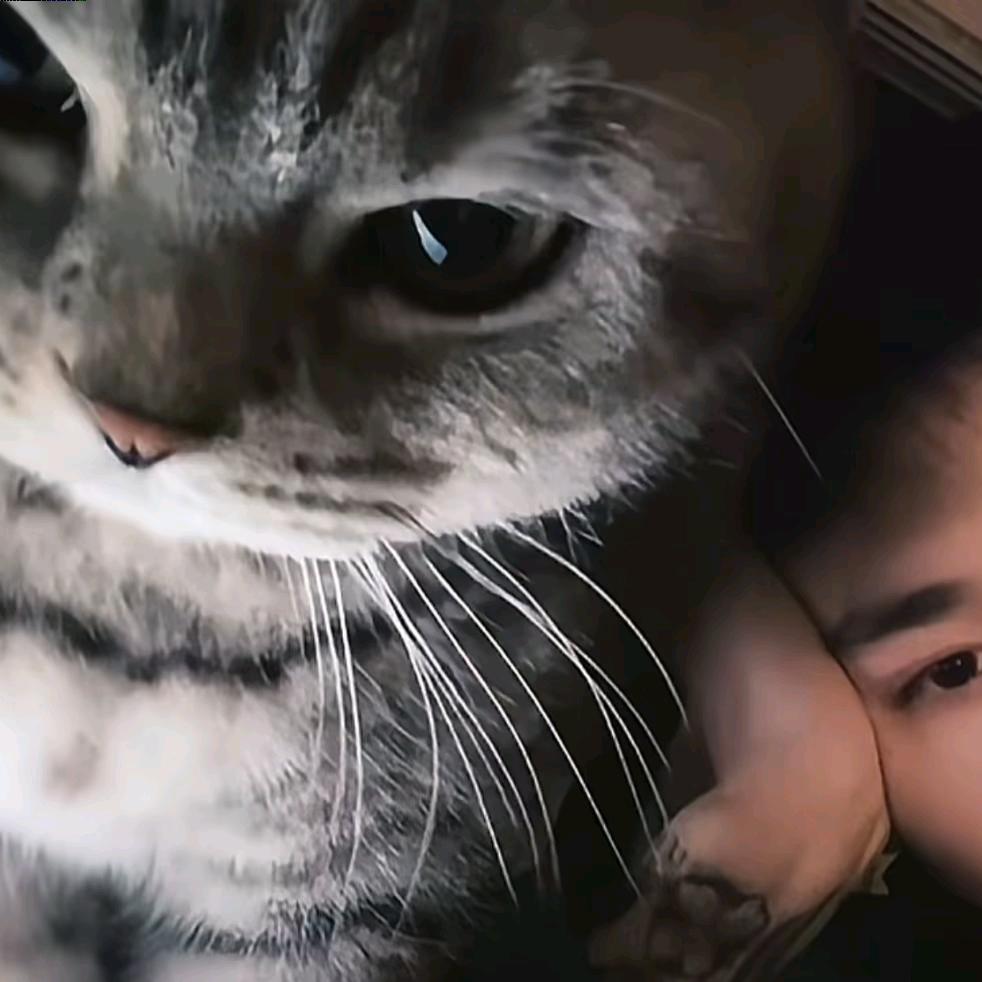 辻辷