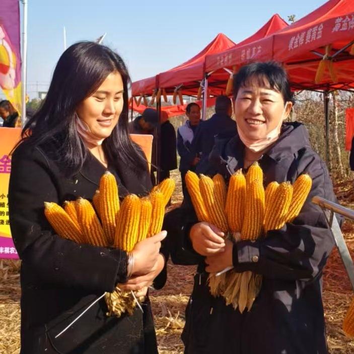 李小侠
