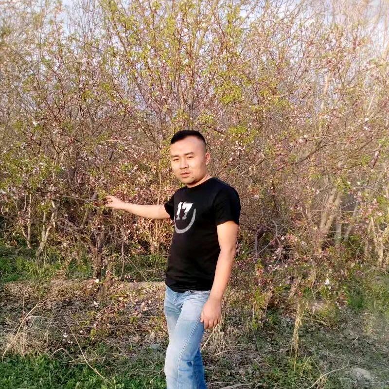 西域孤狼《@勇 》