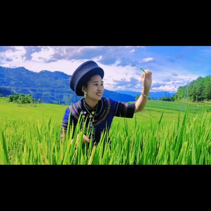 平平淡淡才是真的