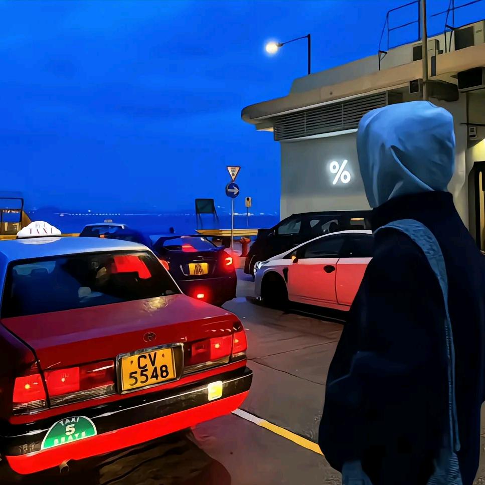 总有一天……