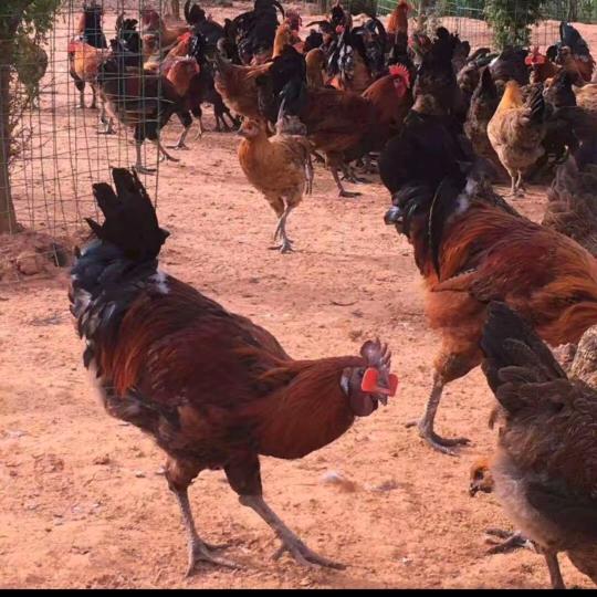 家玲生活好物甄选阁