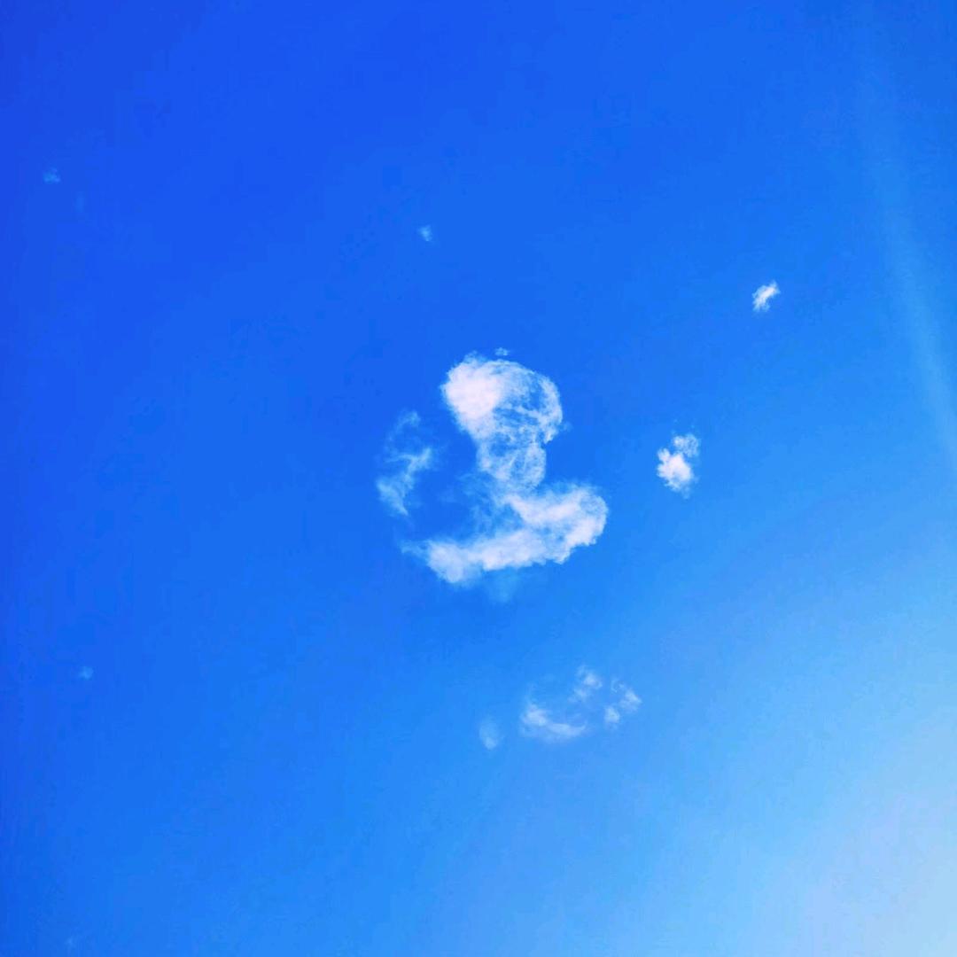 用友软件💫.春纱