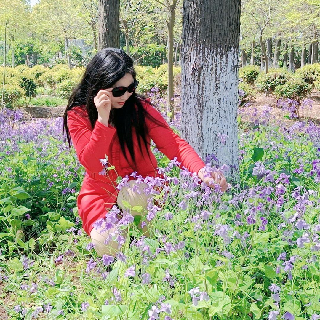 凤仙花💕💕