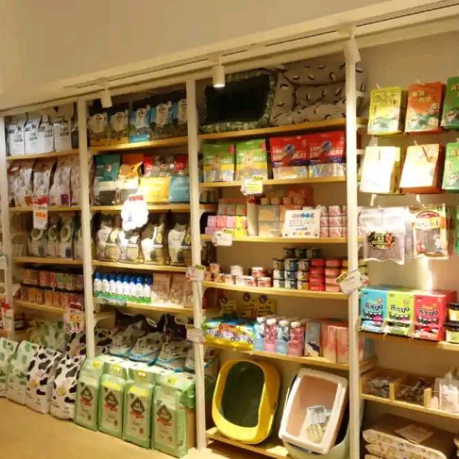 不会铲屎的铲屎官