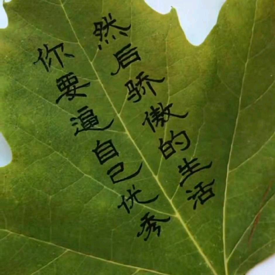 相信自己的梦想