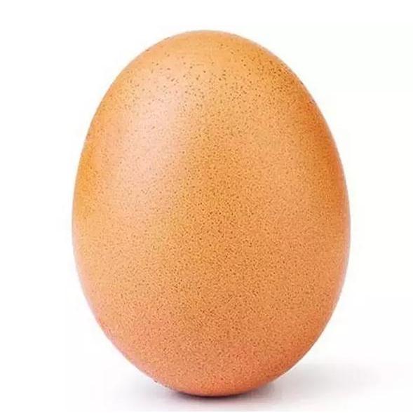 🥚 🐥