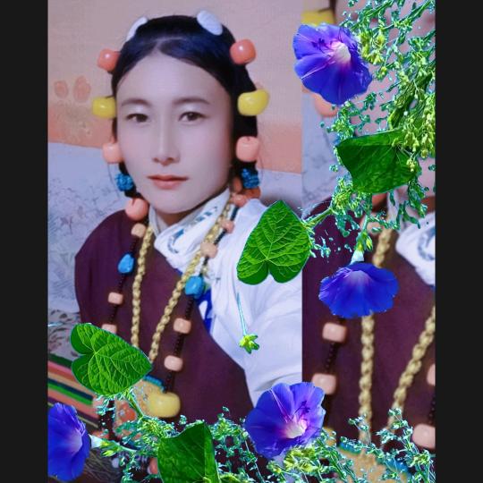 草原姑娘