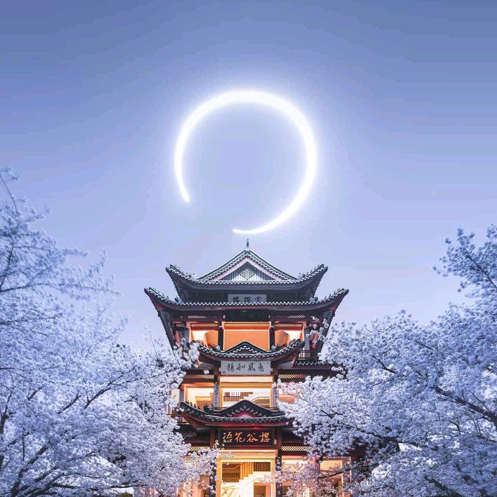 传奇庆少