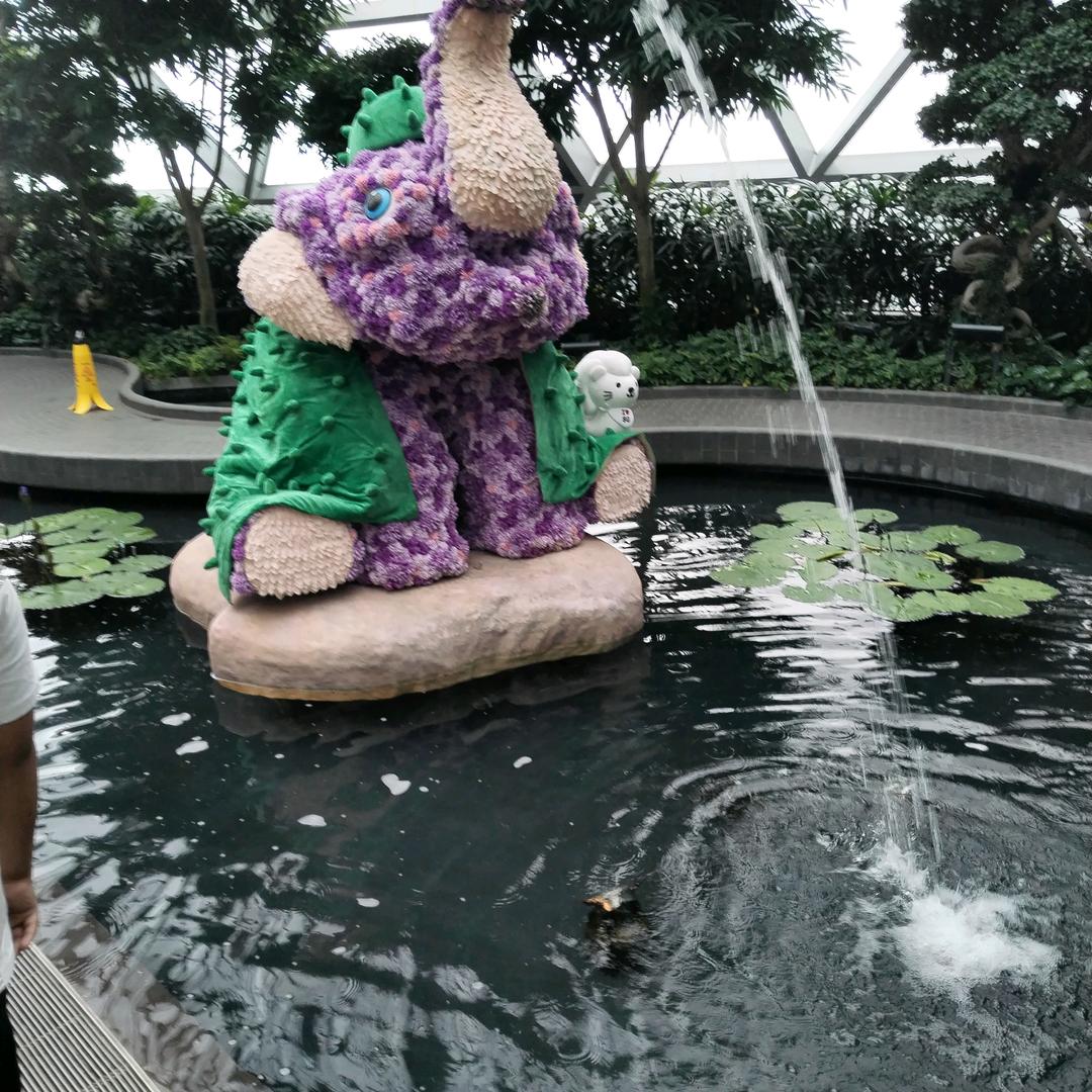 雨蒙蒙