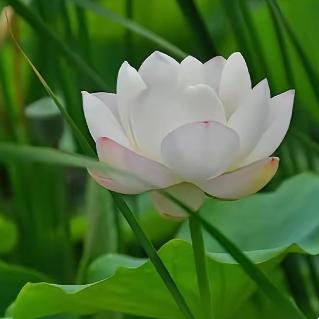 生气生财