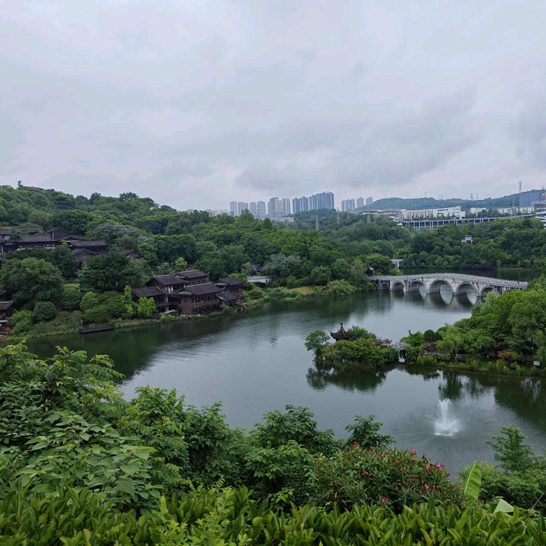 文泳蘅