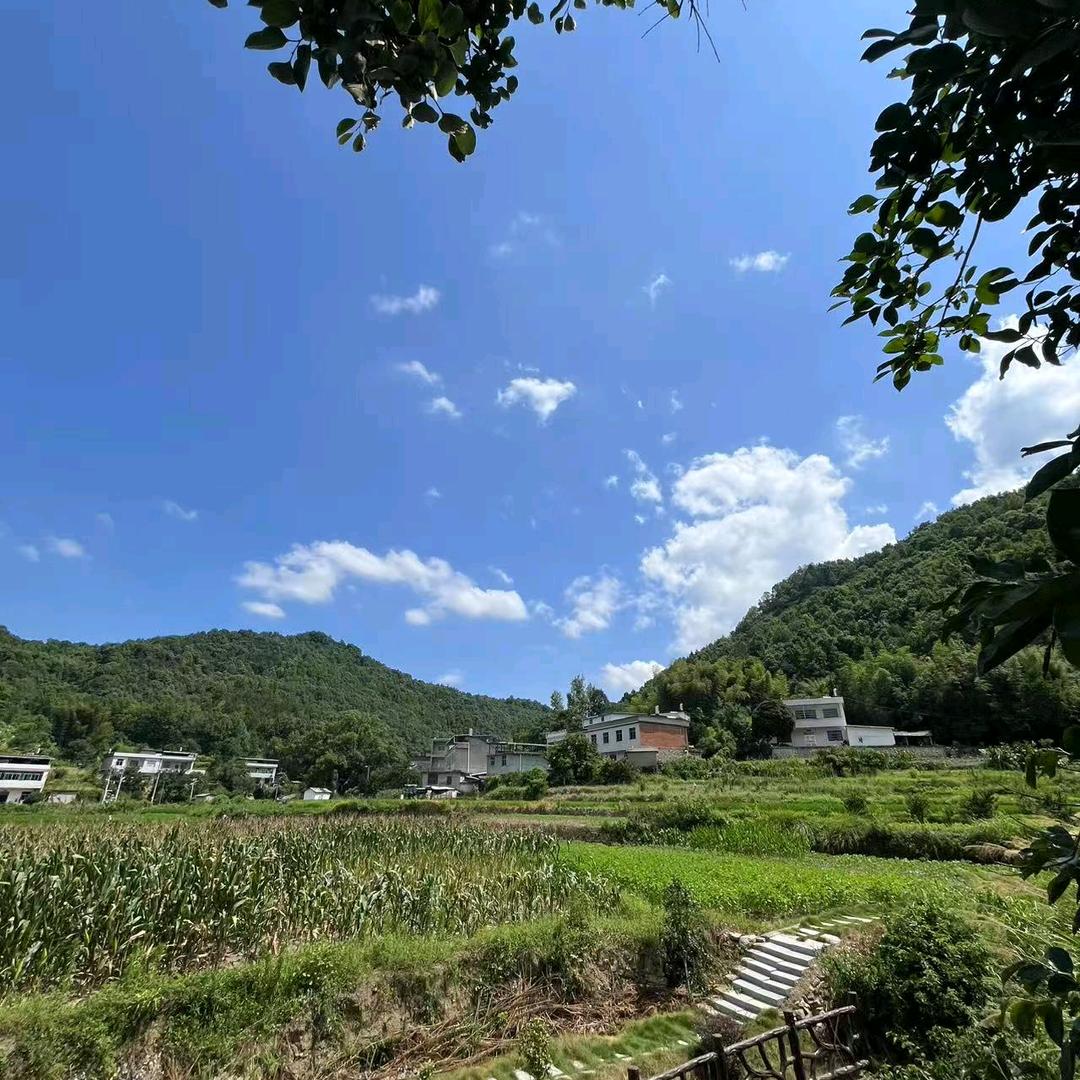 倩@@🌻