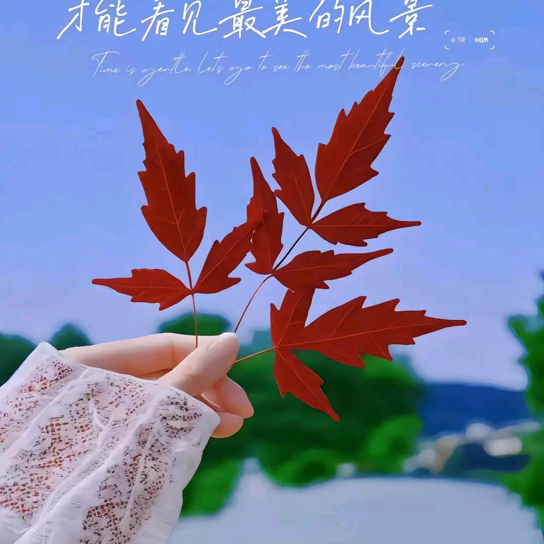 果果推文