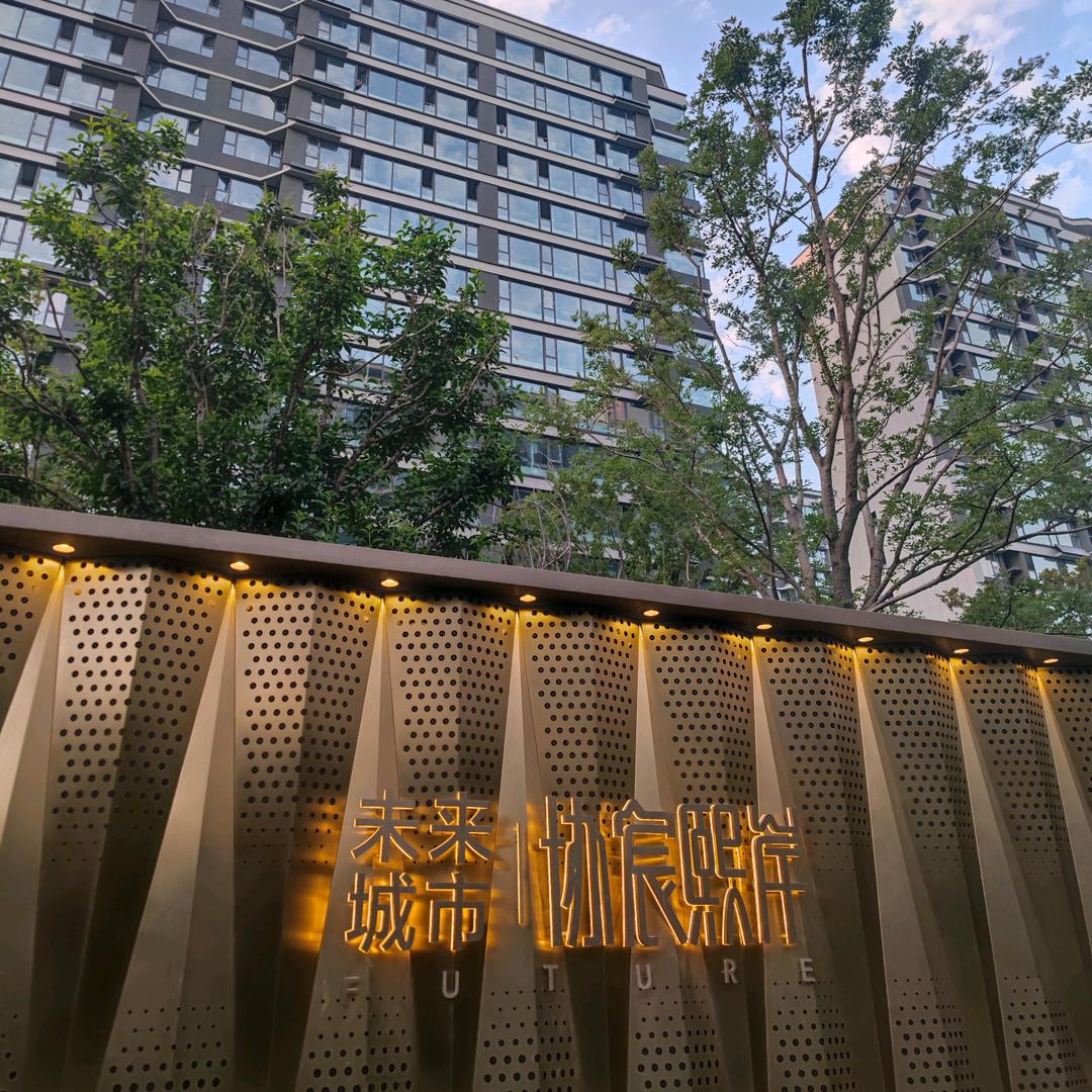 协宸熙岸 小金🌳