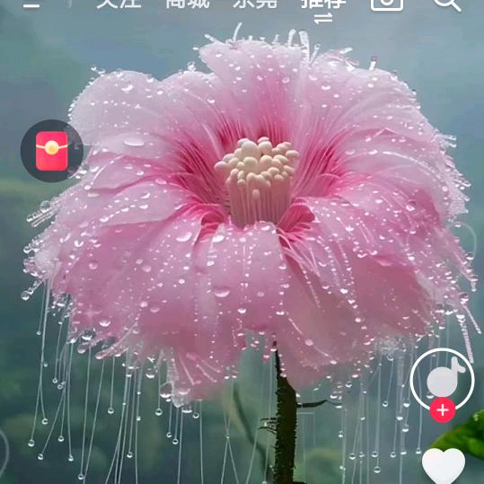 ꧔ꦿএ᭄小盼盼এ᭄