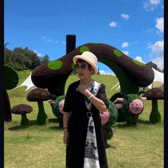 吴妈妈的励志人生