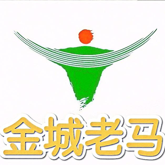 和田市金城老马牛肉面