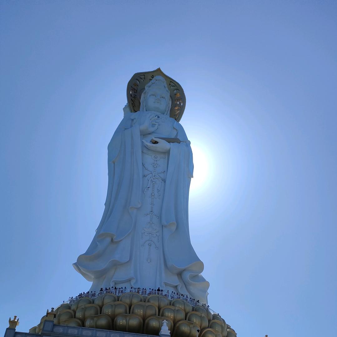 道里灬大呲花