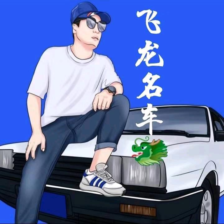 飞龙  名车
