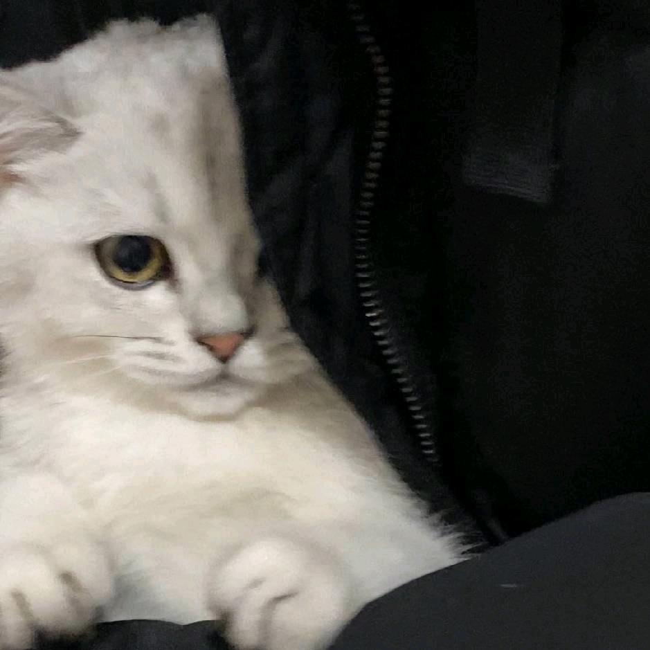 豪爵铃木永信路店小岳