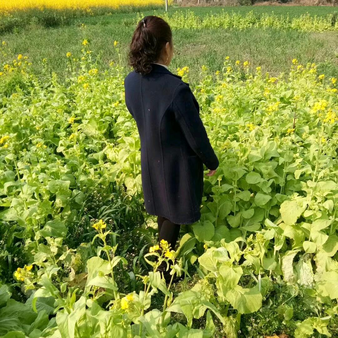普尺
