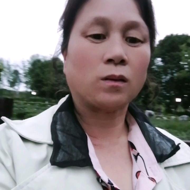 用户7689964749181：往事随风