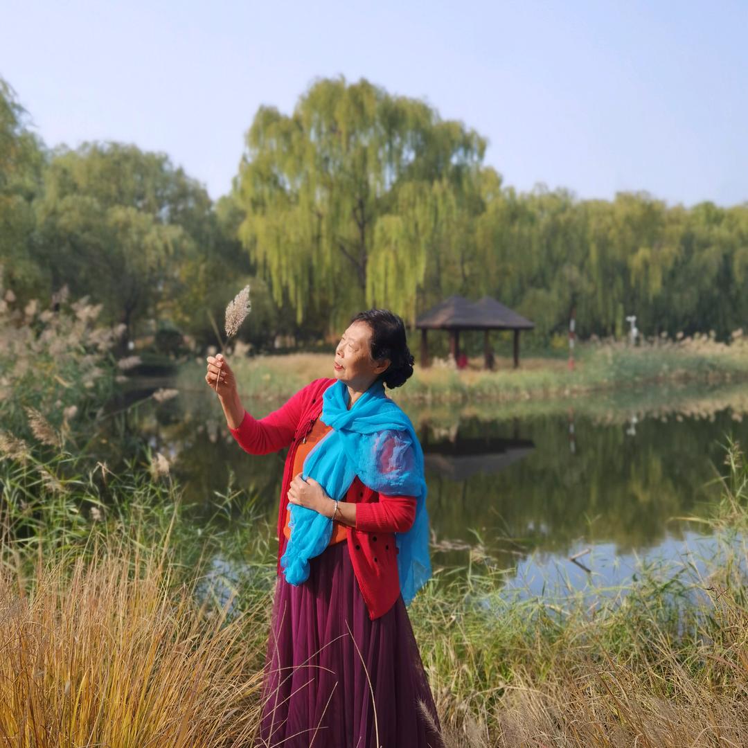 麦兜奶奶